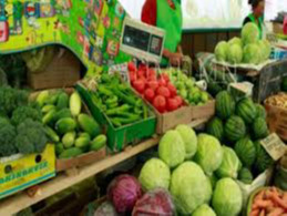 ‘Autumn Green Days’ underway